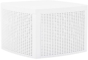 vidaXL Măsuță laterală, alb, 54 x 54 x 36,5 cm, plastic