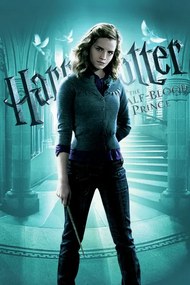 Poster de artă Harry Potter și Prințul Semipur