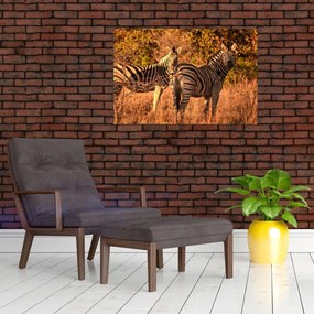 Tablou cu zebre (90x60 cm)
