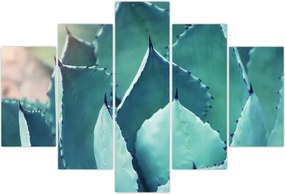 Tablou - Suculent (150x105 cm)