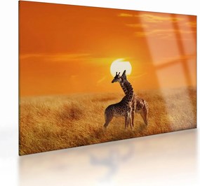 Tablou pe sticlă - Girafe în Parcul Național Serengeti (70x50 cm)