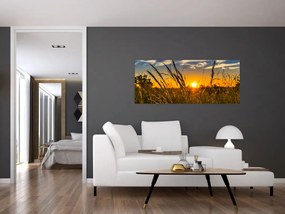 Tablou cu câmp în apus de soare (120x50 cm)