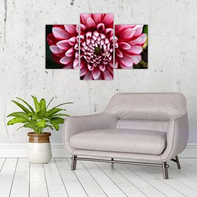 Tablou cu dalie roz (90x60 cm)