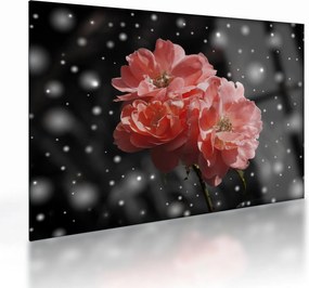 Tabloucu floare roz (70x50 cm)