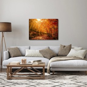 Tablou cu pădurea în toamnă (70x50 cm)