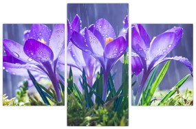 Tablou cuflori în ploaie (90x60 cm)