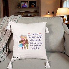 Cadou pentru Bunici - Perna Personalizata Bunicii Iubirea Infloreste Bunici cu Nepoata Colorat, 40x40 cm, Bej cu Franjuri, Husa Detasabila, Perna Inclusa, BEKZ®