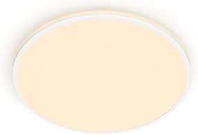 Plafonieră LED dimabilă OZZIET SCENE SWITCH LED/22W/230V 2700K Philips