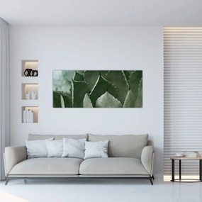 Tablou - Agave verde (120x50 cm)