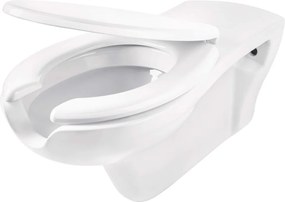 Vital Vas de WC, cu capac, pentru persoane cu mobilitate redusă Finisaj: Alb CDVD6WPW