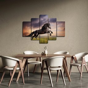 Tablou - Cai (150x105 cm)