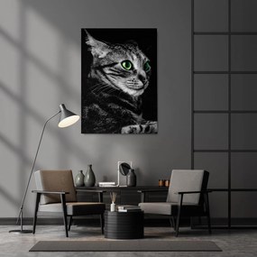 Cat Sense Portrait