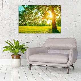 Tablou - Pădurea însorită (90x60 cm)