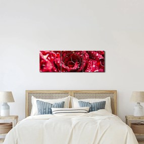 Tablou cu floarea trandafirului roșu (cu ceas) (90x30 cm)