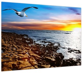 Tablou - Pescărușul zboară deasupra coastei (70x50 cm)