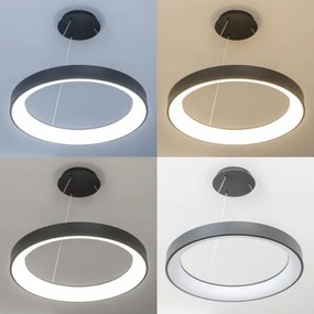 Brilagi - Lustră LED reglabilă pe cablu FALCON II LED/99W/230V Ø 60 cm neagră + telecomandă