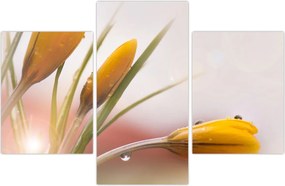 Tablou - Flori de primăvară (90x60 cm)