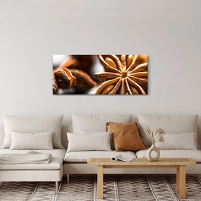 Tablou - Anason (120x50 cm)