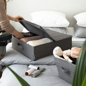 Cutie de depozitare Bigso Box of Sweden Underbed, gri