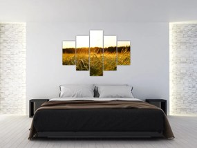 Tablou iarba cu rouă (150x105 cm)
