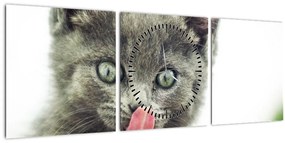 Tablou cu pisicuța lingându-se (cu ceas) (90x30 cm)