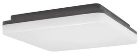 Plafoniera LED de exterior moderna IP54 TOMMY NVL-9521002