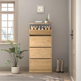 Dulap Pantofi Inalt Adore XL – Pantofar cu Adancime Slim (26 cm) pentru Hol, 4 Compartimente Rabatabile, Capacitate 24 Perechi