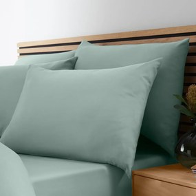 Lenjerie de pat verde din microfibră pentru pat dublu 200x200 cm So Soft Easy Iron – Catherine Lansfield