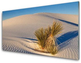Tablou pe sticla Desert Peisaj Brun Verde