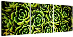 Tablou cu flori de piatră (cu ceas) (90x30 cm)