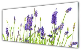 Tablouri acrilice Flori Floral Verde Violet Alb