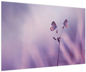Tablou - Fluturi mov (90x60 cm)