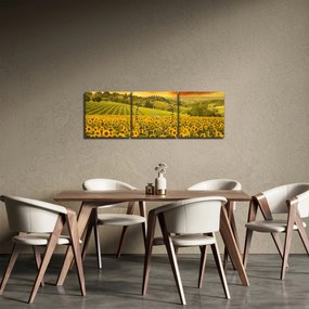 Tablou - Câmp de floarea-soarelui (cu ceas) (90x30 cm)
