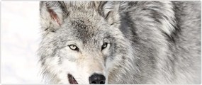 Tablou - Lupul în natură (120x50 cm)