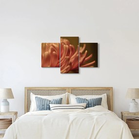Tablou cu detailu florii (90x60 cm)