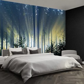 Fototapet molid Forest
