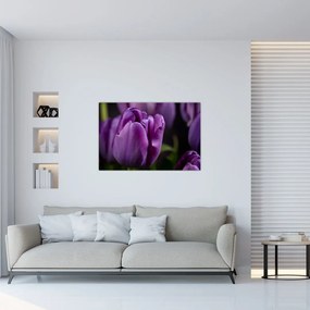 Tablou cu flori de lalele (90x60 cm)