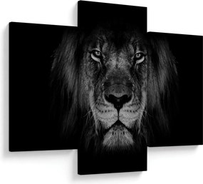 Tablou - Leu majestic (90x60 cm)