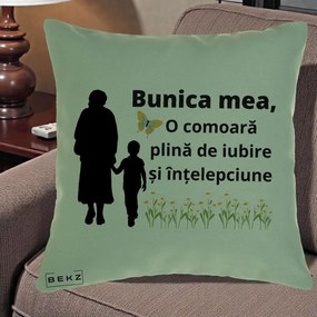 Cadou pentru Bunica - Perna Personalizata Bunica Mea Comoara cu Fluture si Baietel, 40x40 cm, Verde, Husa Detasabila, Perna Inclusa, BEKZ®