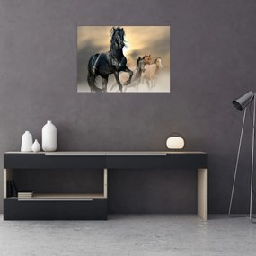 Tablou - Cai (70x50 cm)