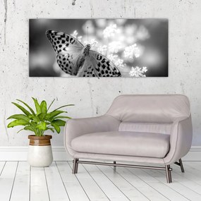 Tablou - Detailu cu fluture care polenizează floare (120x50 cm)