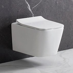 Toaletă fără ramă, montată pe perete, Tina