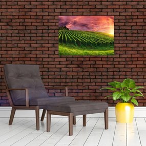 Tablou pe sticlă cu vie cu cerul color (70x50 cm)