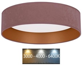 Plafonieră LED VELVET LED/24W/230V 3000/4000/6400K roz/aurie Brilagi