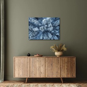 Tablou - Pădure înzăpezită (70x50 cm)