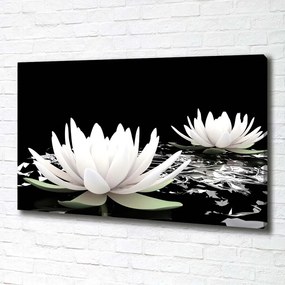 Tablou canvas Nuferi