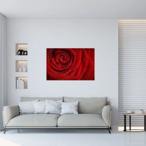 Tablou - detaliu de trandafir (90x60 cm)