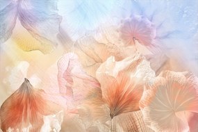 Fototapet, Pastel Petals, Rebel Walls