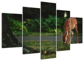 Tablou cu pui de cerb (150x105 cm)