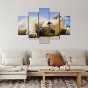 Tablou cu cățeluș dormind (150x105 cm)